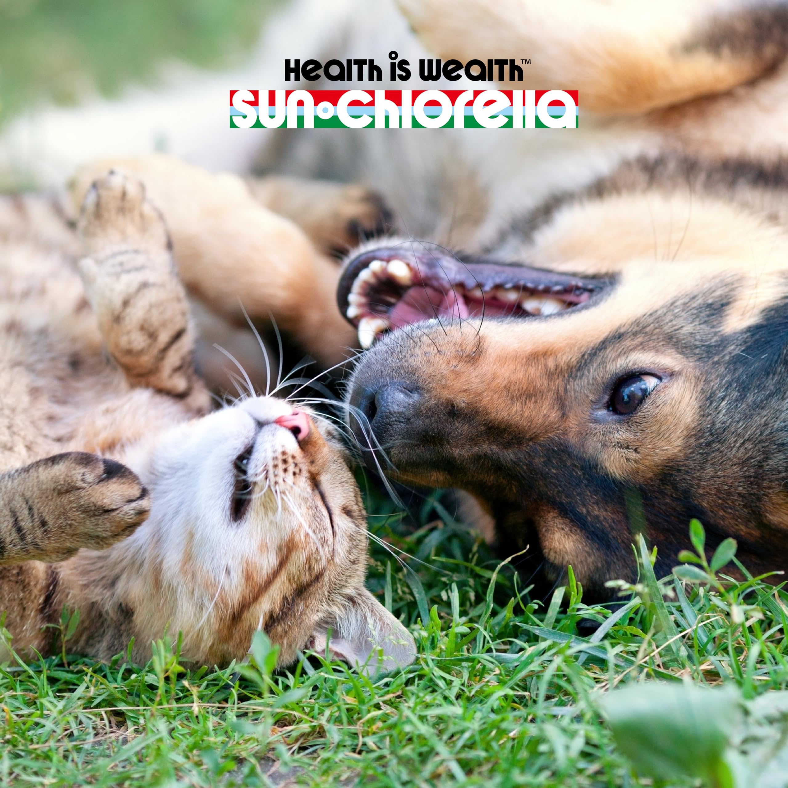 Lecithin and minerals in Sun Chlorella pet treats aid digestion