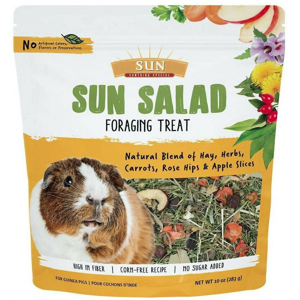 Sun Seed Vita Prima Sun Salad serving image shows a foraging snack in action.