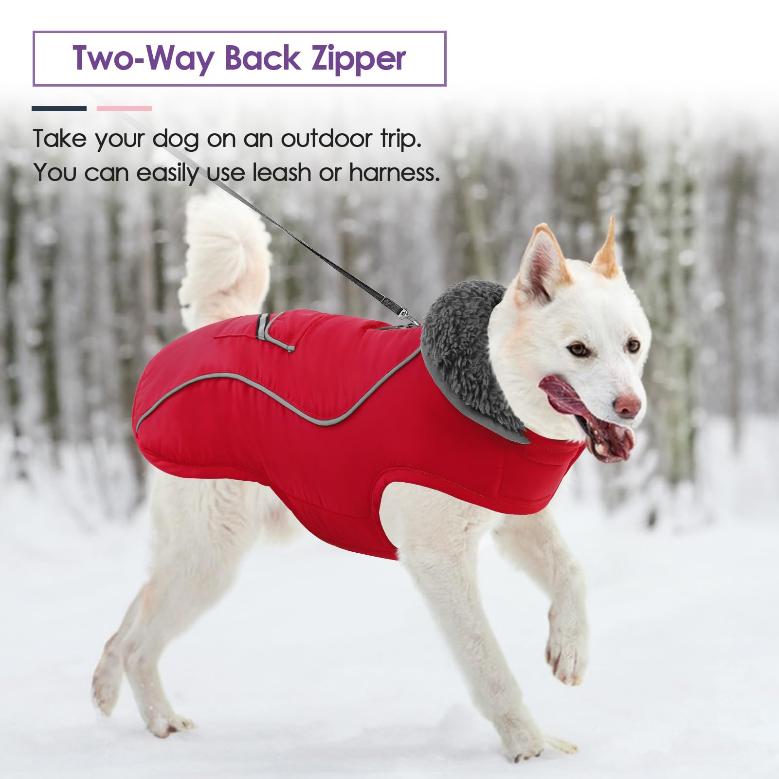 SUNFURA abrigo para perros de múltiples tallas, ideal para Jack Russell y más