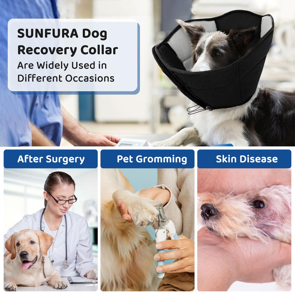 SUNFURA black x-large cone for large dogs with secure recovery wear