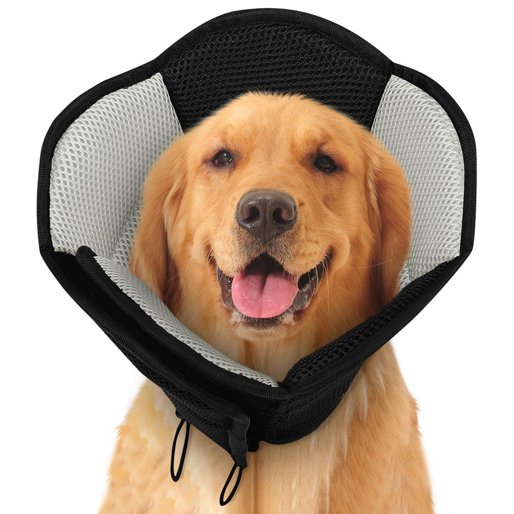 SUNFURA breathable mesh dog cone shows comfortable post-surgery wear
