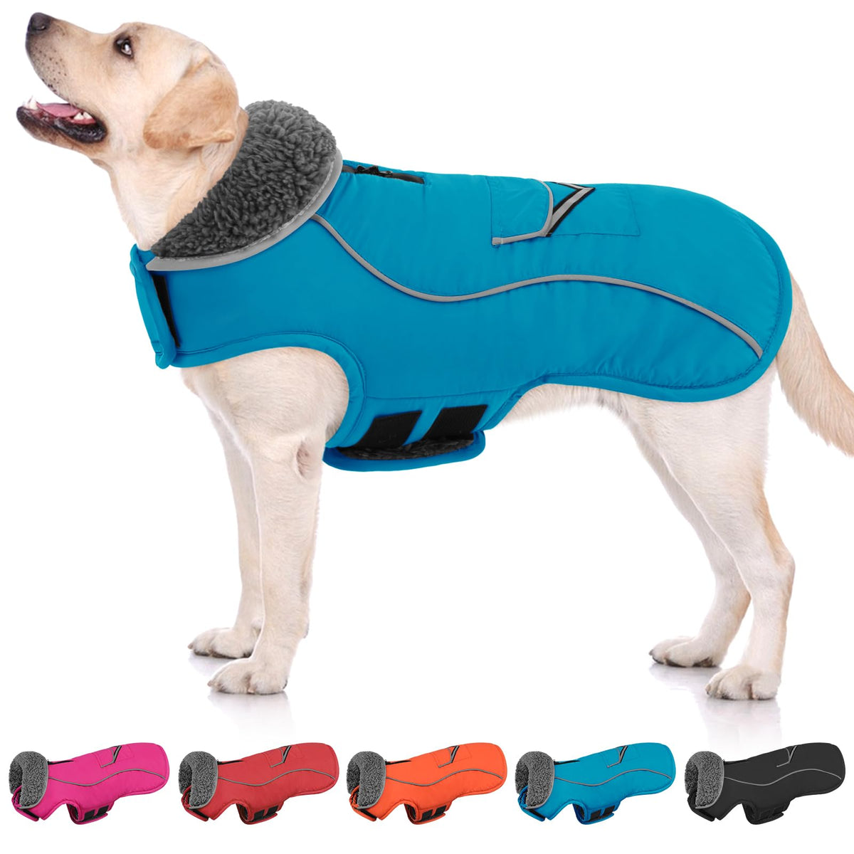 SUNFURA dog coat back view in turquoise ready for cold-weather walks