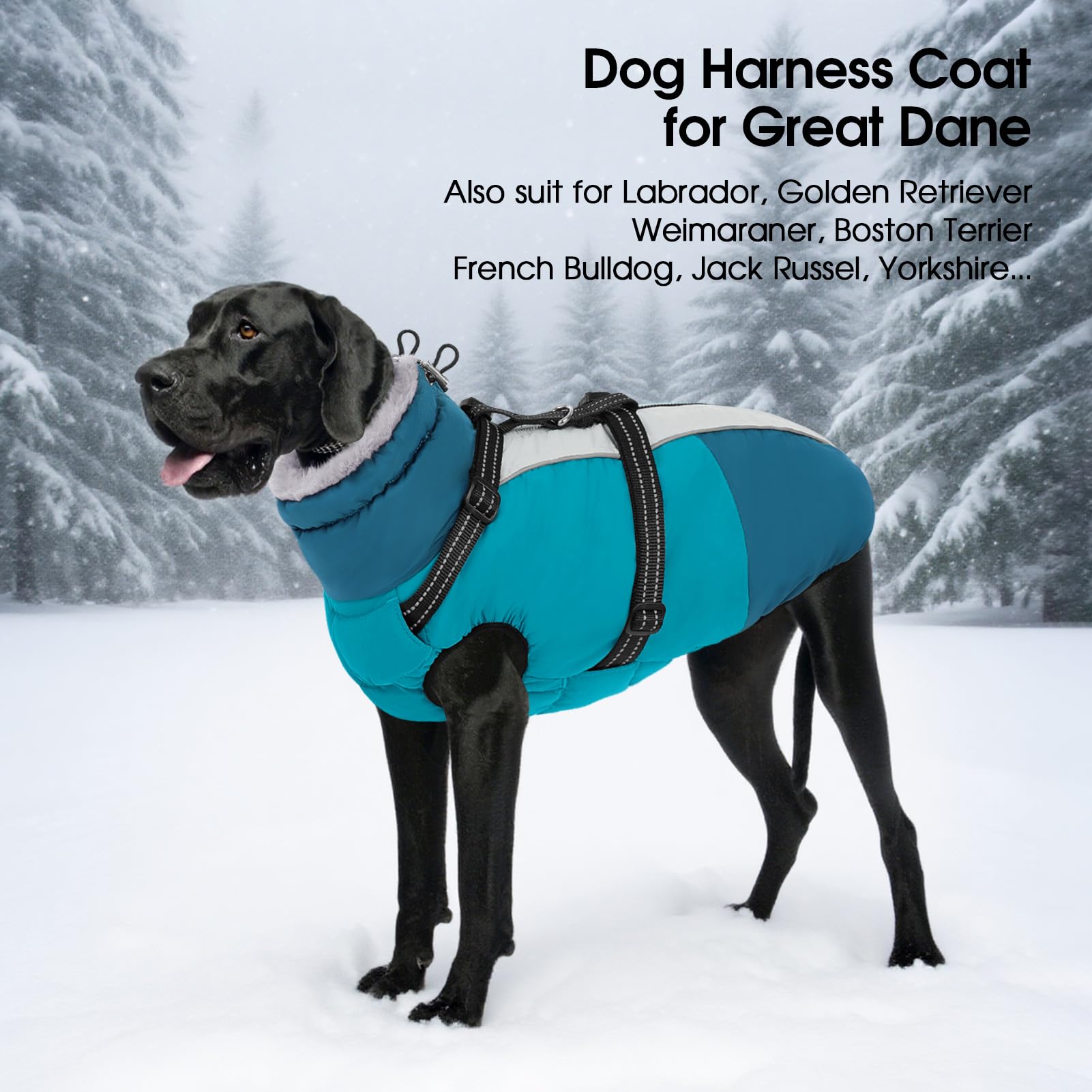 SUNFURA versatile coat suits breeds from border collies to greyhounds