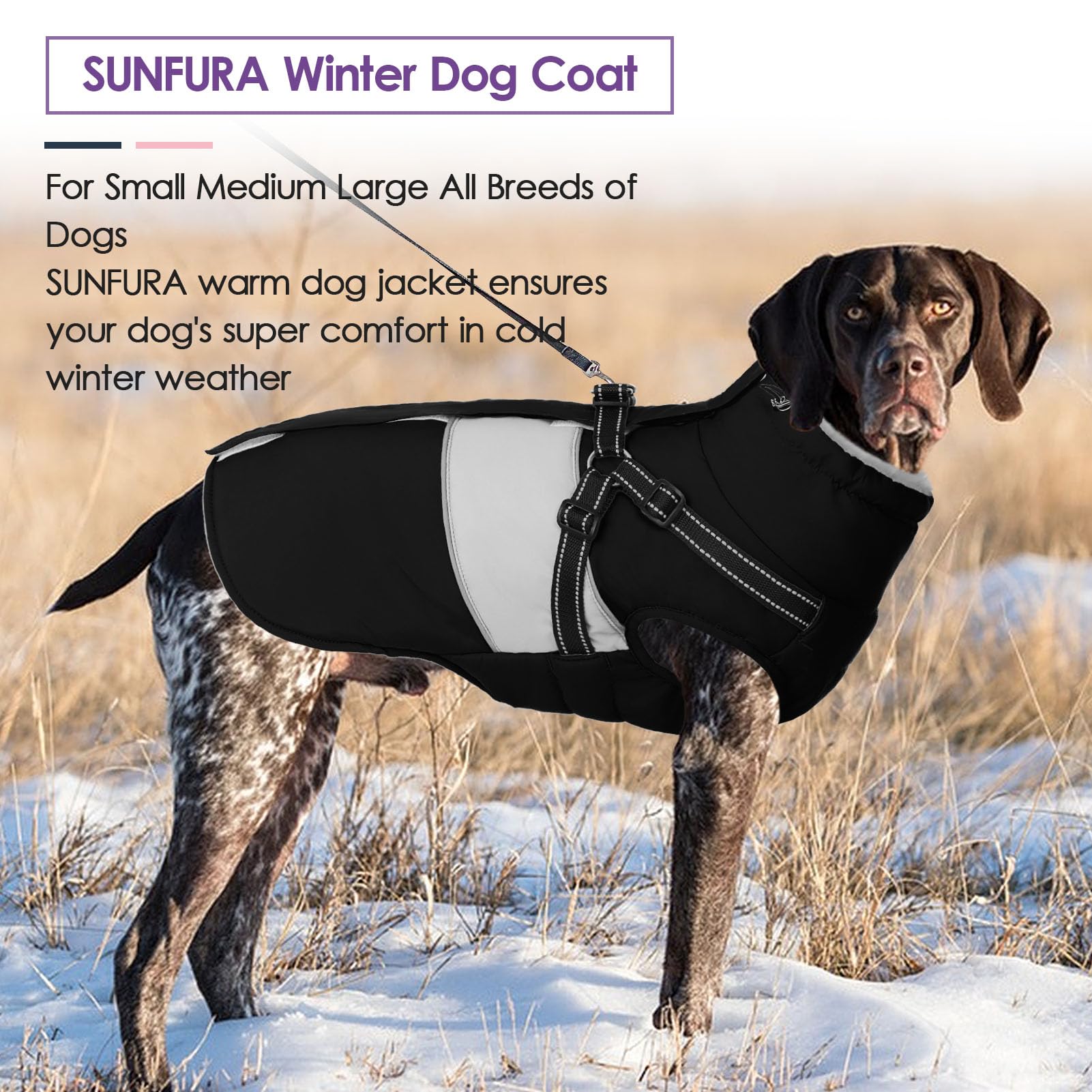 SUNFURA built-in D-ring leash attachment for quick walks.