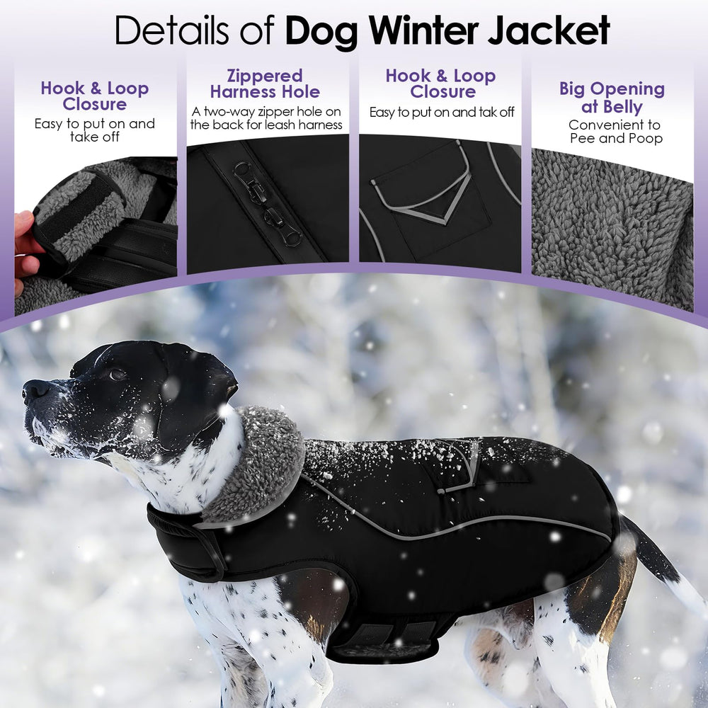 SUNFURA dog coat pocket back demonstrates snack ready design for quick outings.