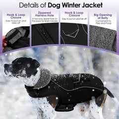 SUNFURA dog coat pocket back demonstrates snack ready design for quick outings.