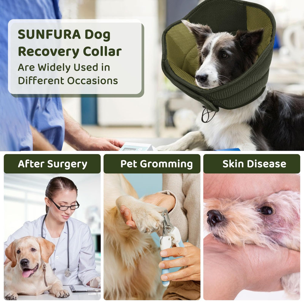 SUNFURA army green XL cone fits large dogs securely and comfortably.