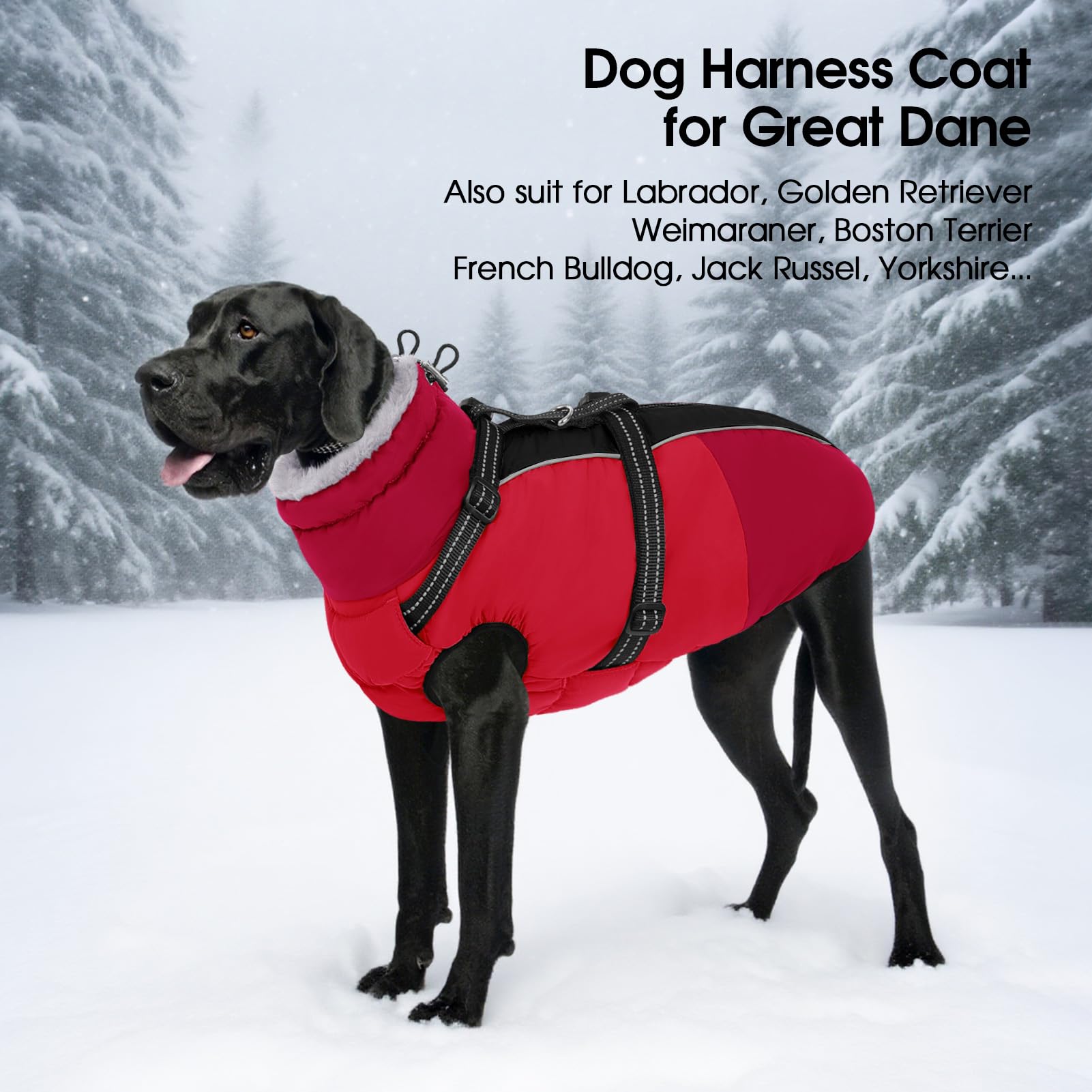 SUNFURA versatile all-breed fit suitable for pugs, retrievers, and terriers.