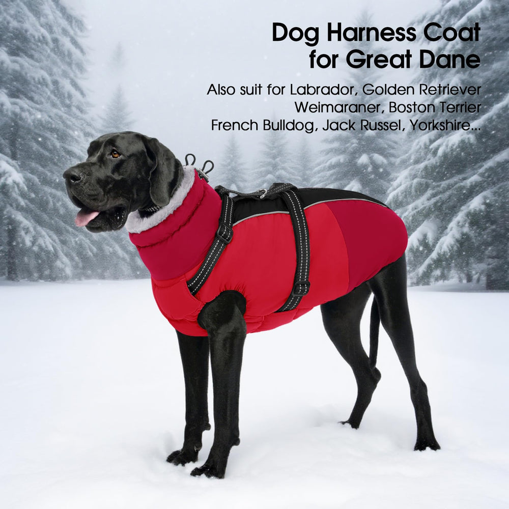 SUNFURA versatile all-breed fit suitable for pugs, retrievers, and terriers.