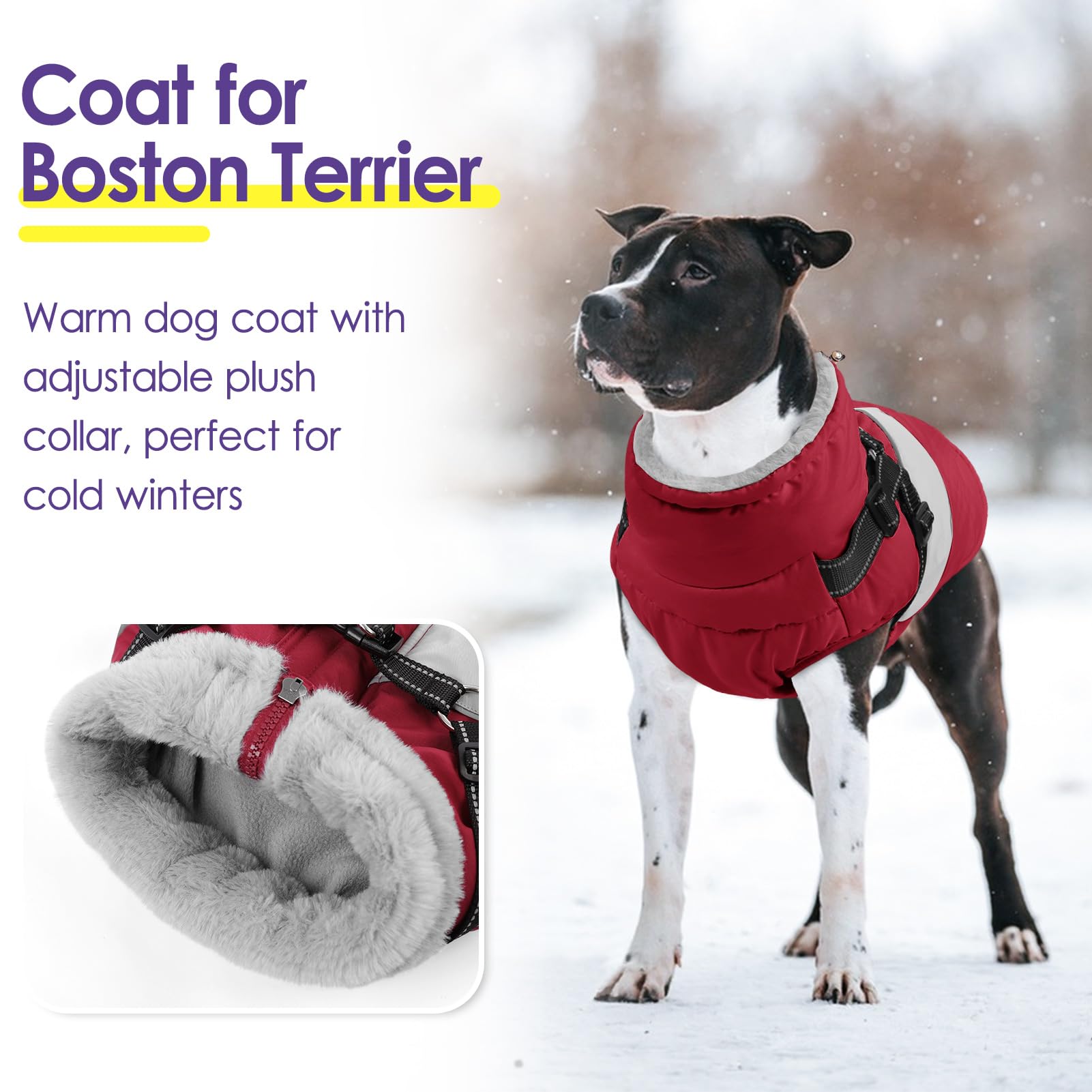 SUNFURA dog winter coat back view with reflective trim enhances visibility during night strolls.