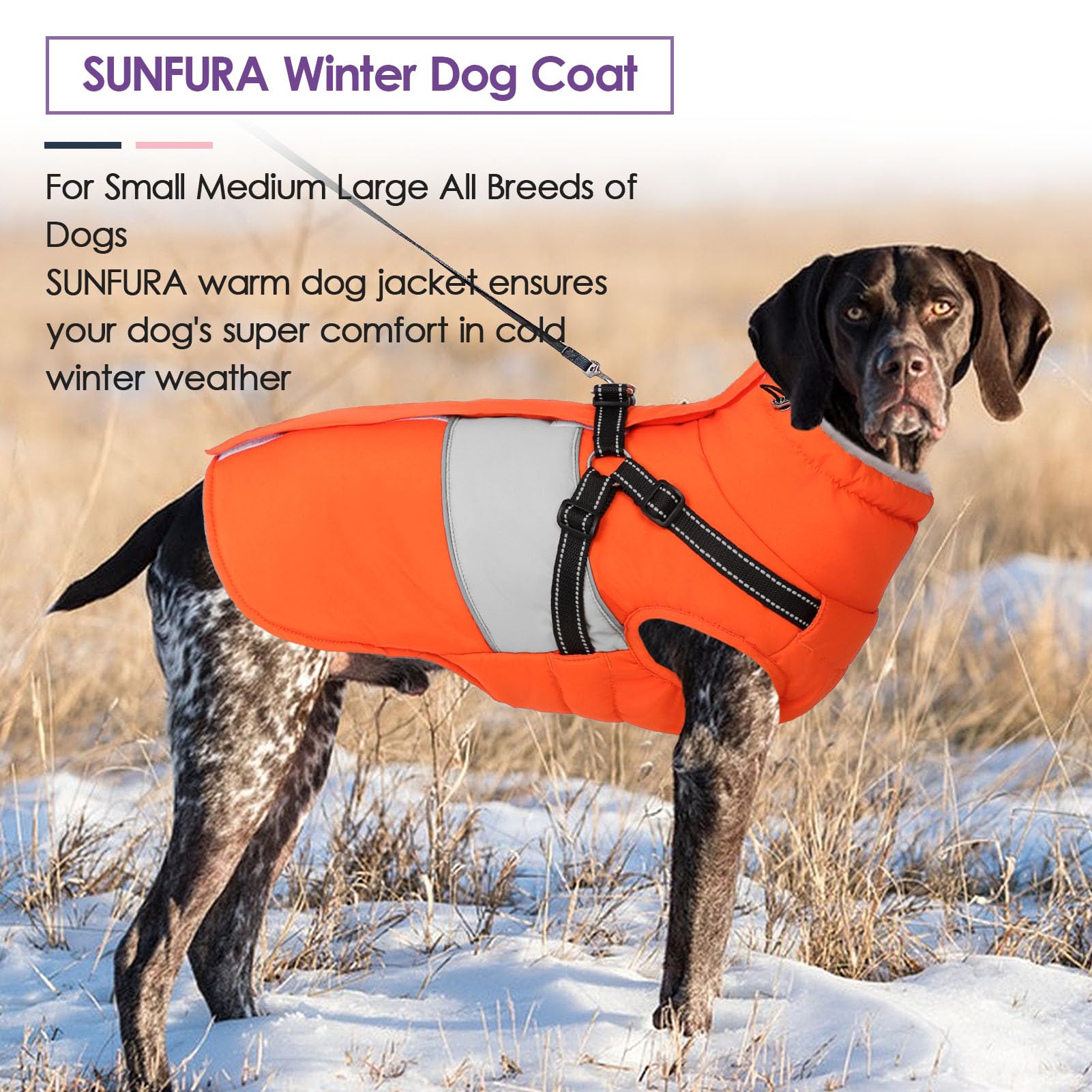 SUNFURA dog winter coat D-ring leash attachment enables secure control.