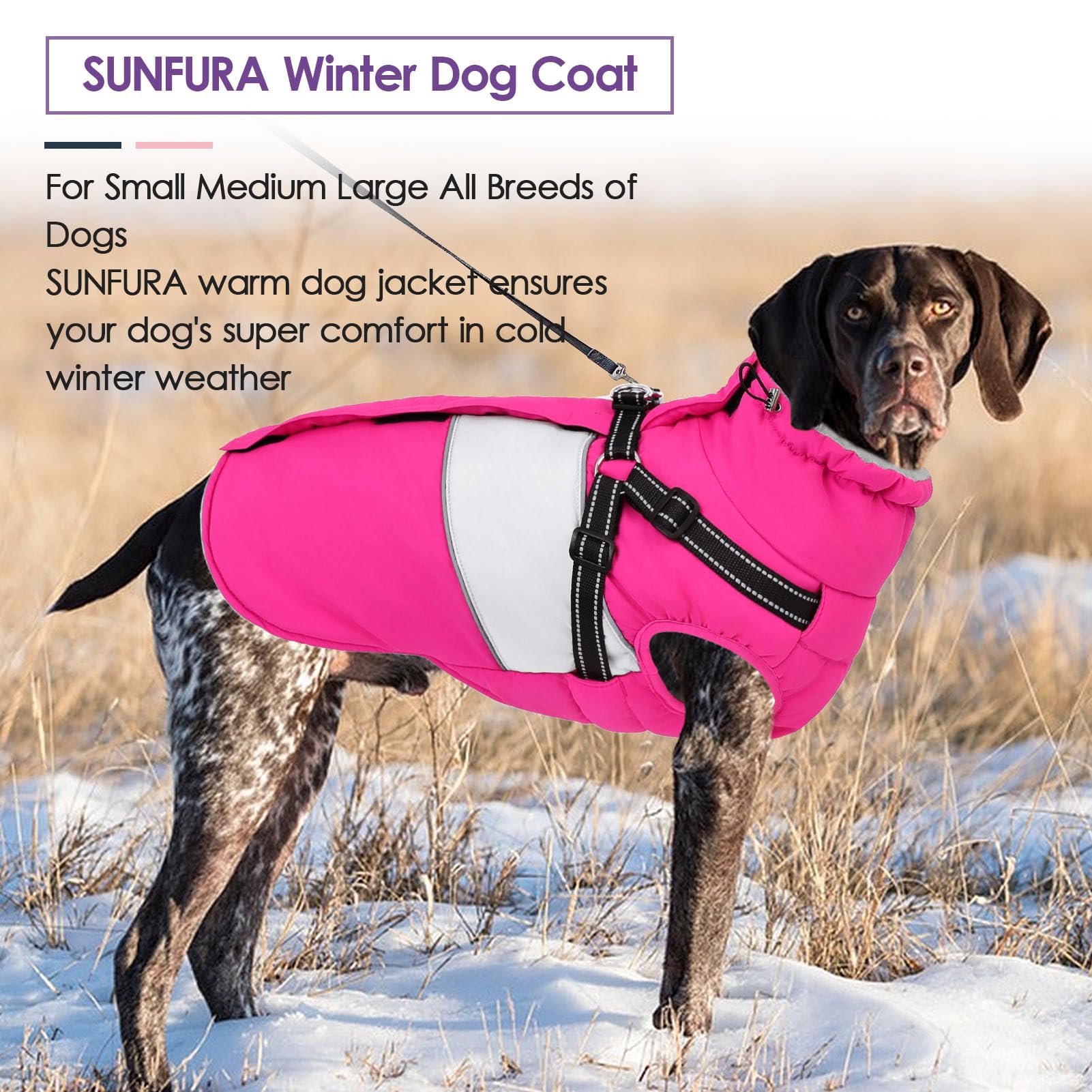 SUNFURA dog winter coat zipper easy-on-off view demonstrates simple outfit changes