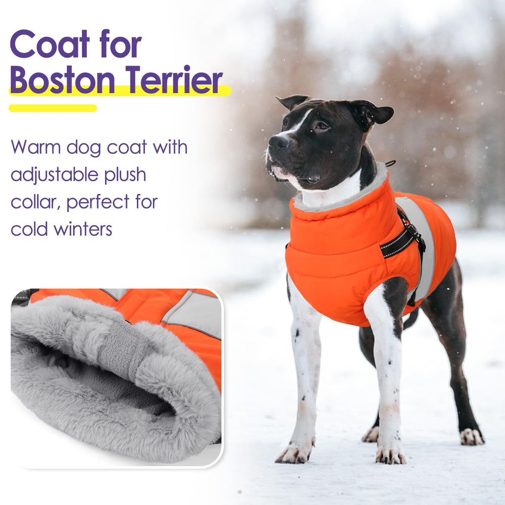 SUNFURA dog winter coat harness built-in demonstrates secure leash attachment during outings.