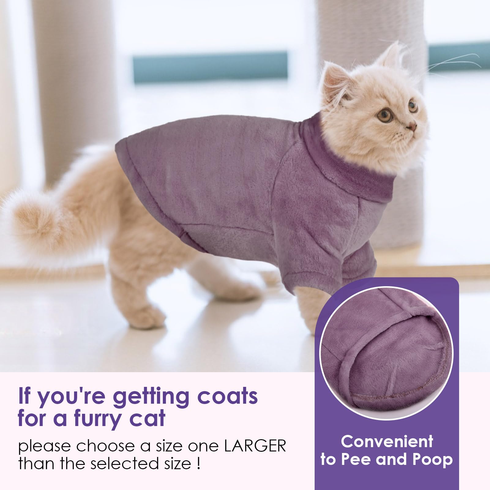 SUNFURA hairless cat wearing coat provides warmth and comfort