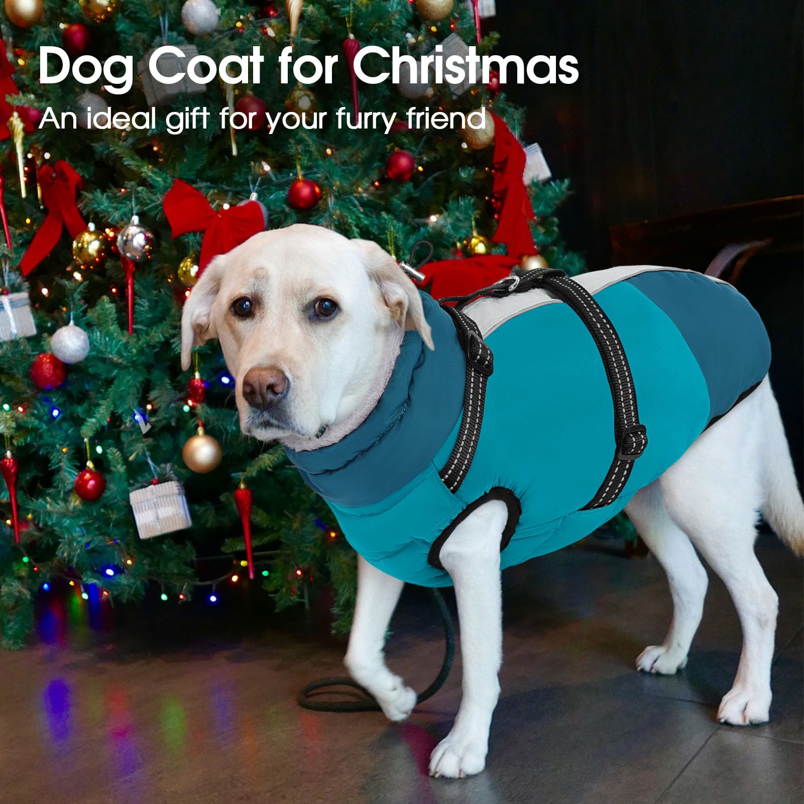 SUNFURA high-cut abdomen opening aids comfortable relief breaks while wearing