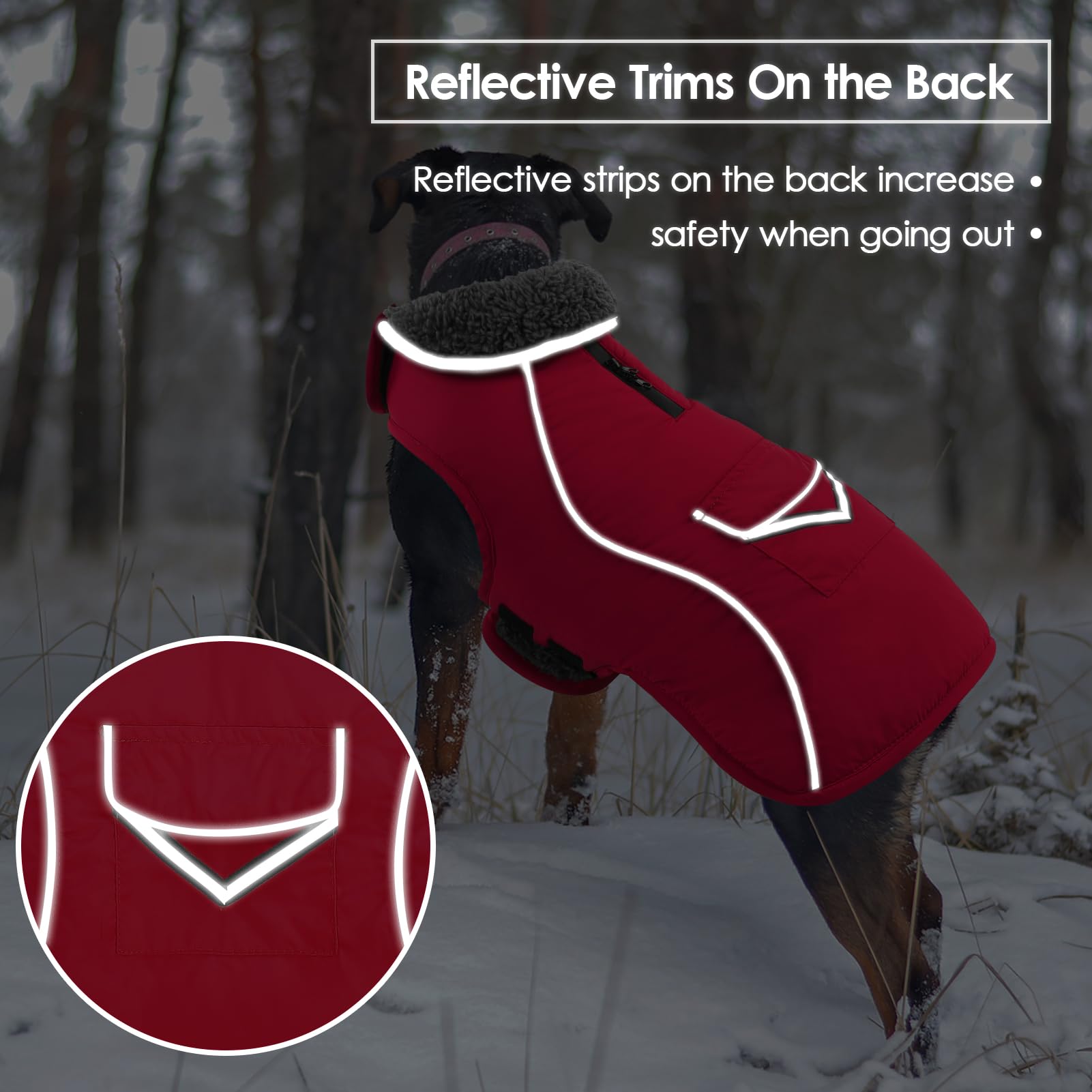 SUNFURA large dog coat back view illustrating full coverage