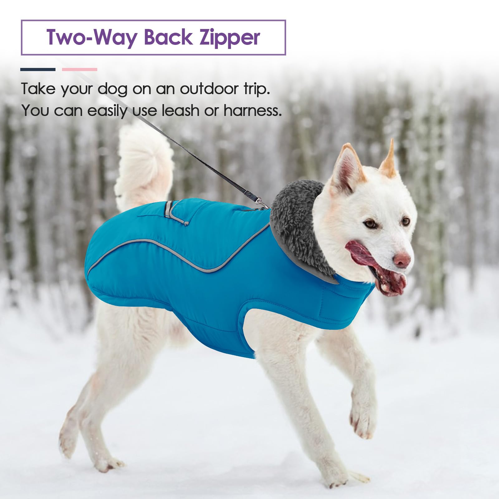 SUNFURA packaged dog jacket ready to wear out of the box