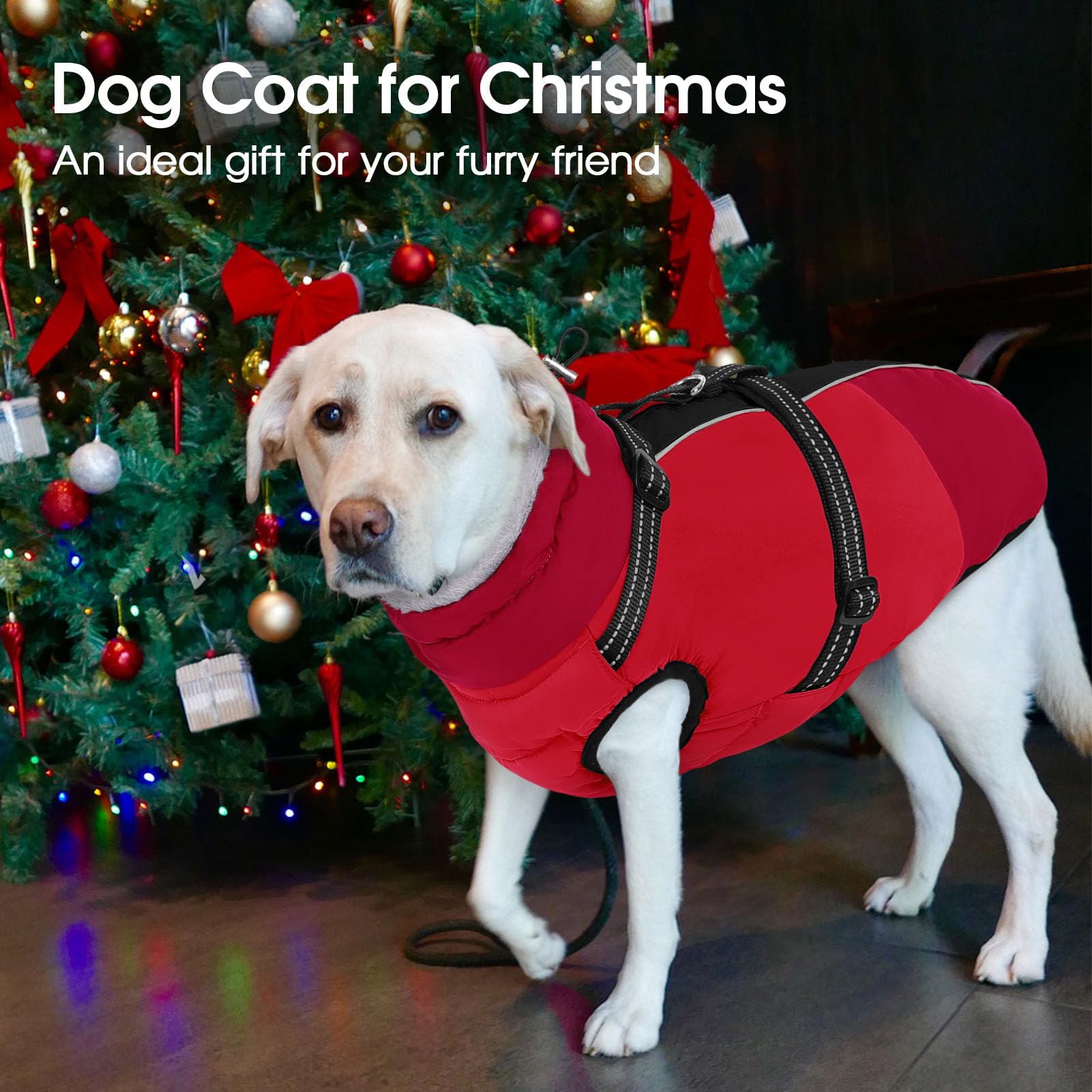 SUNFURA dog-coat-sizes-all-breeds suitable for various breeds