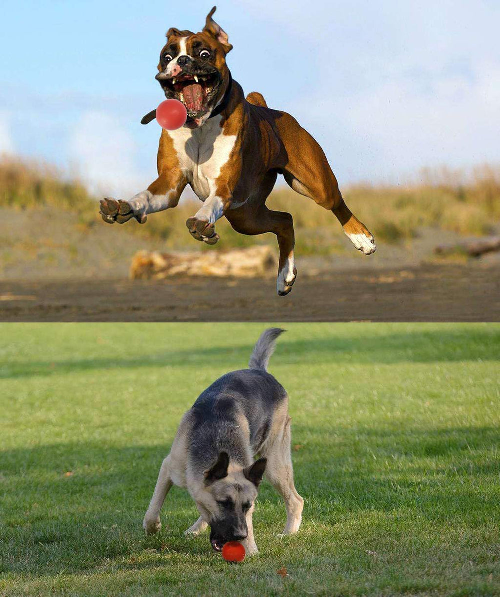 Sunglow ball used for teeth cleaning and gum-health support during play