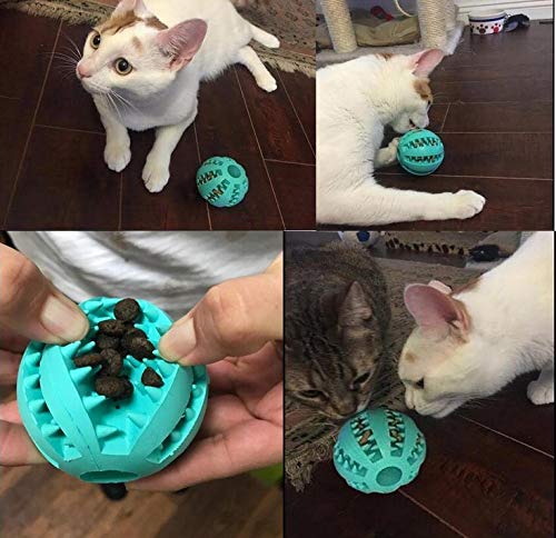 Sunglow dog toy ball in large-dog play scenario for exercise.