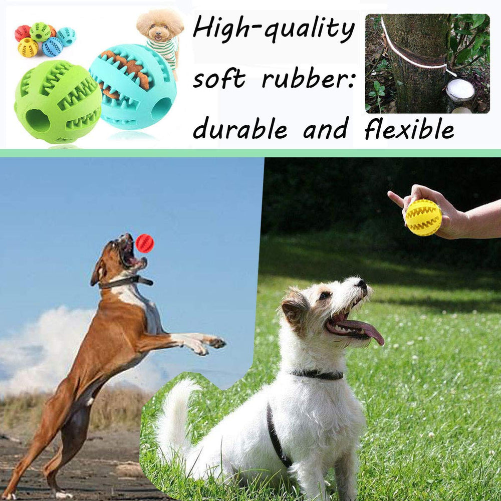 Sunglow dog toy ball playtime scene promotes interactive play and exercise