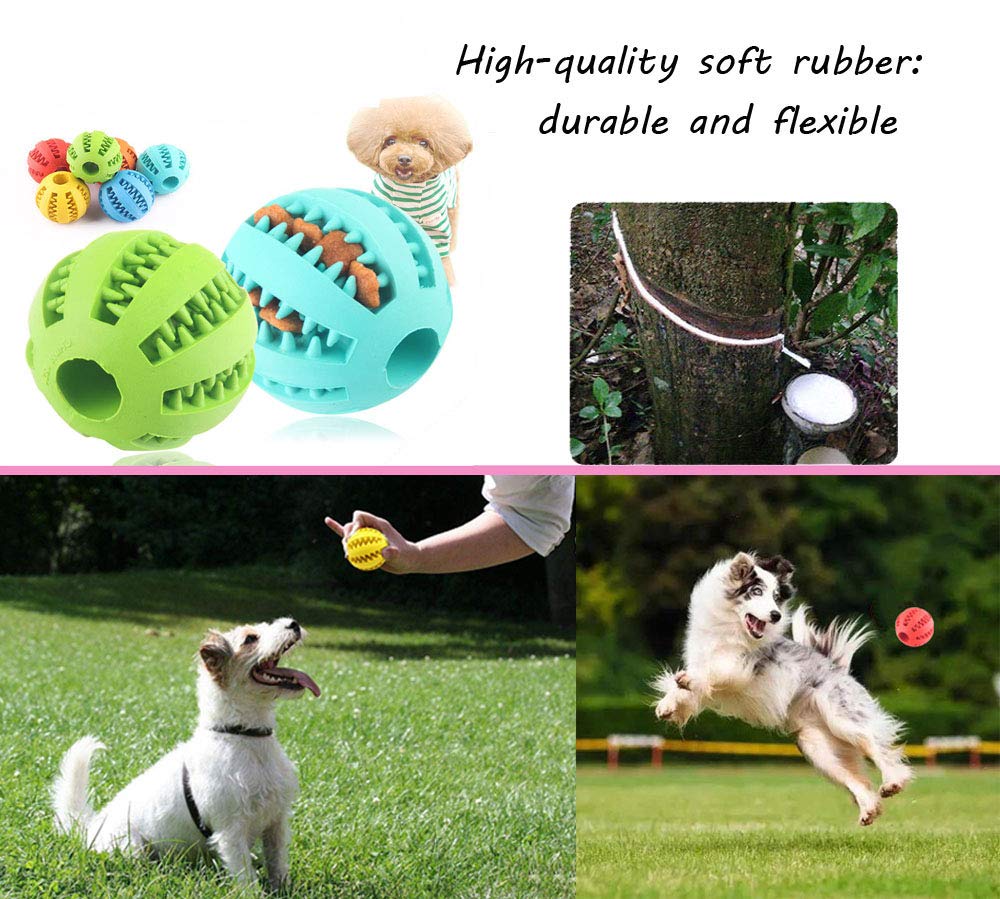 Sunglow dog toy ball training shot supports IQ and obedience practice.