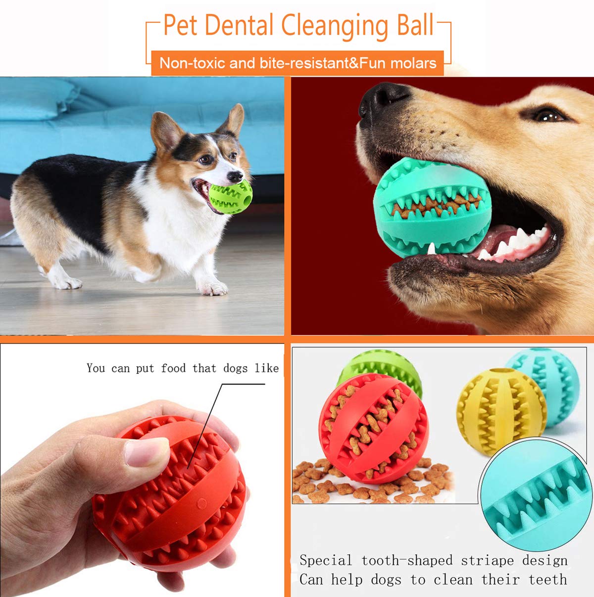 Sunglow dog toy ball in training session demonstrates focus and interaction.