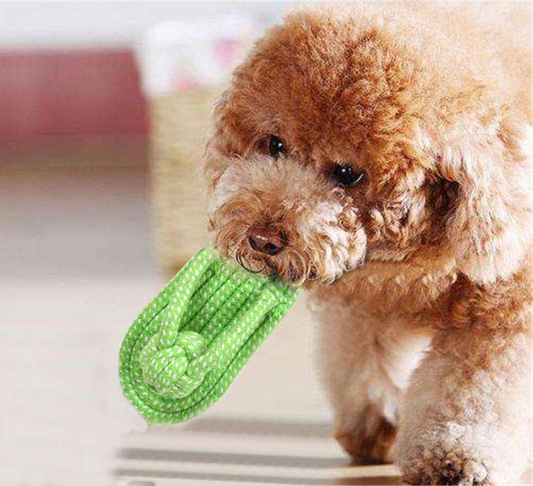 Sunglow rope toy with durable knots for tug of war and fetch