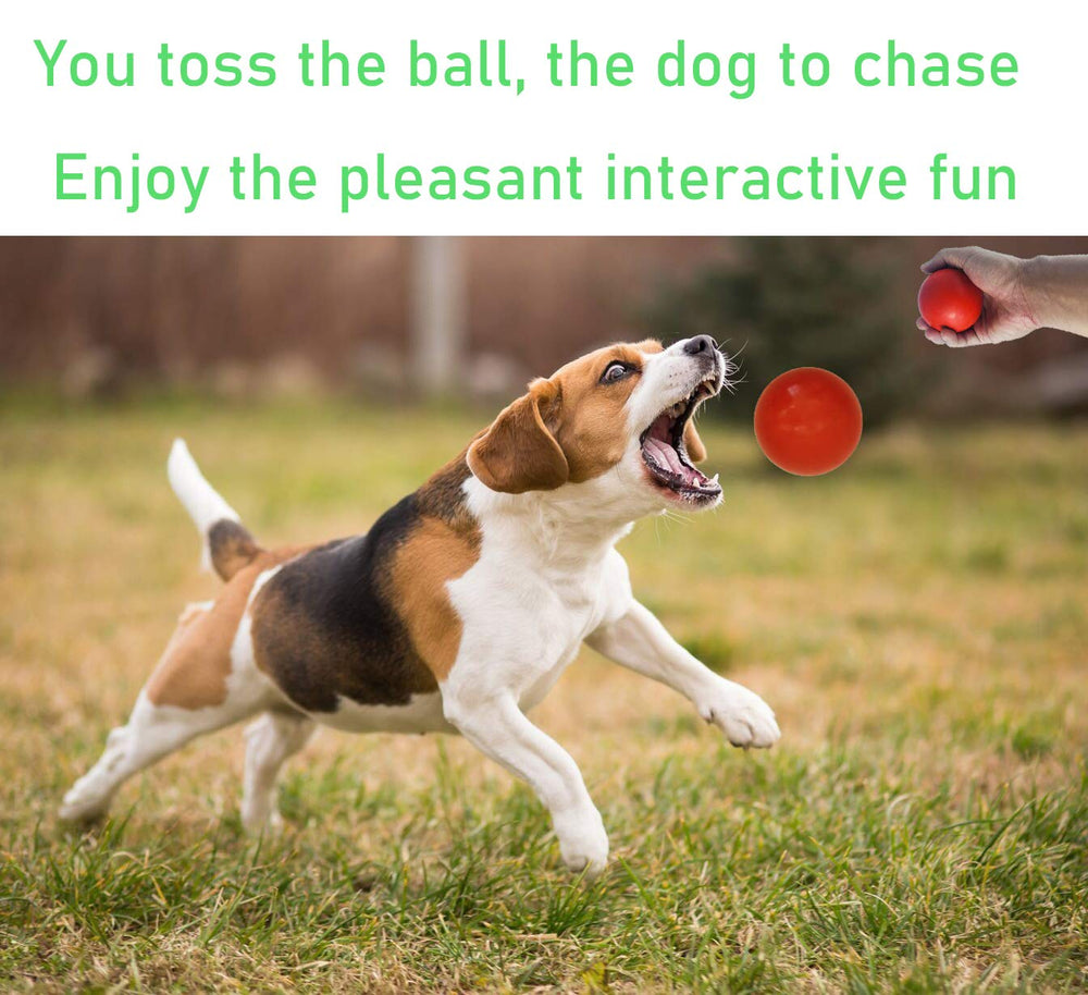 Sunglow ball made from non-toxic natural rubber for safe chewing sessions