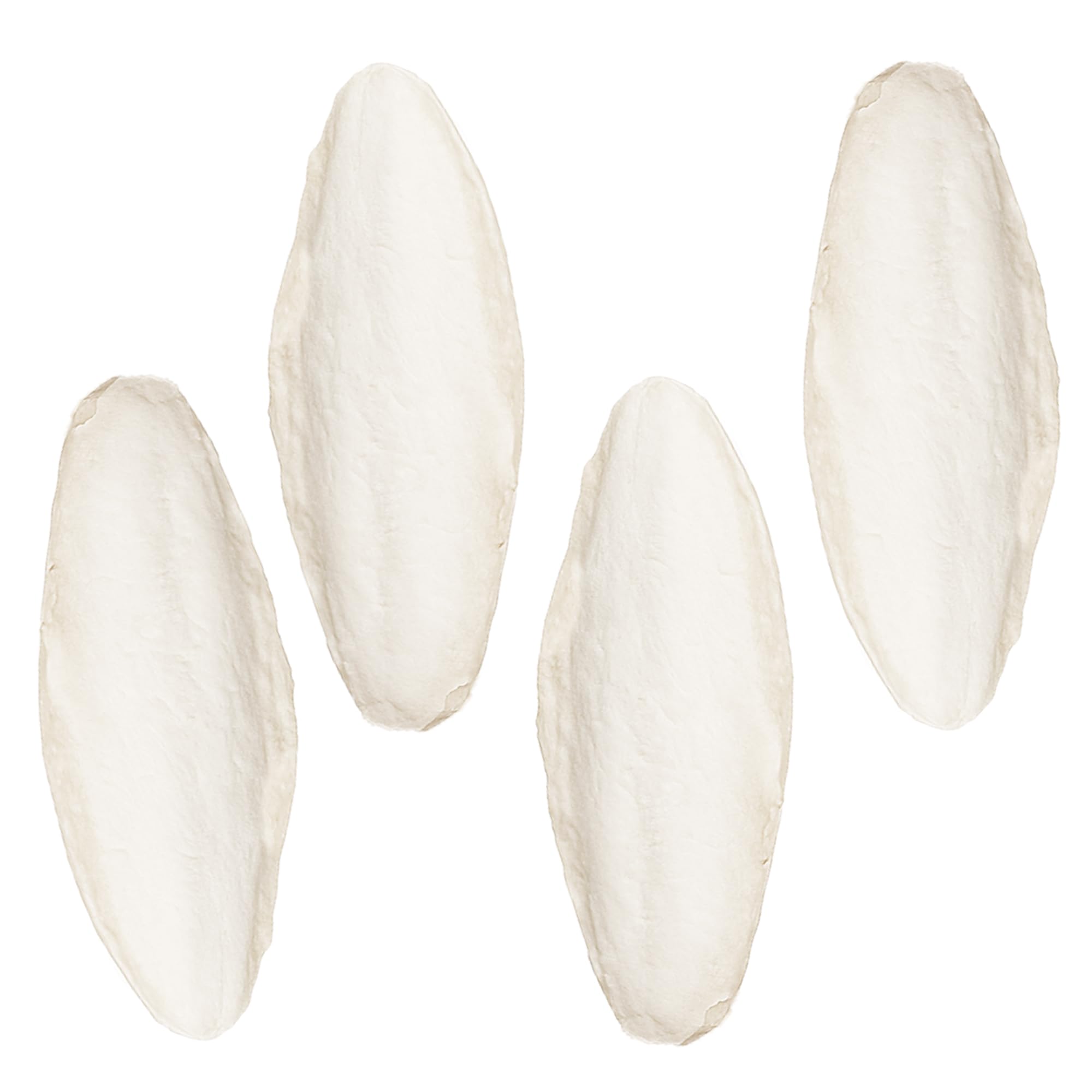 SunGrow 4pack large 6-inch cuttlefish bone for cockatiels supports calcium and bone health