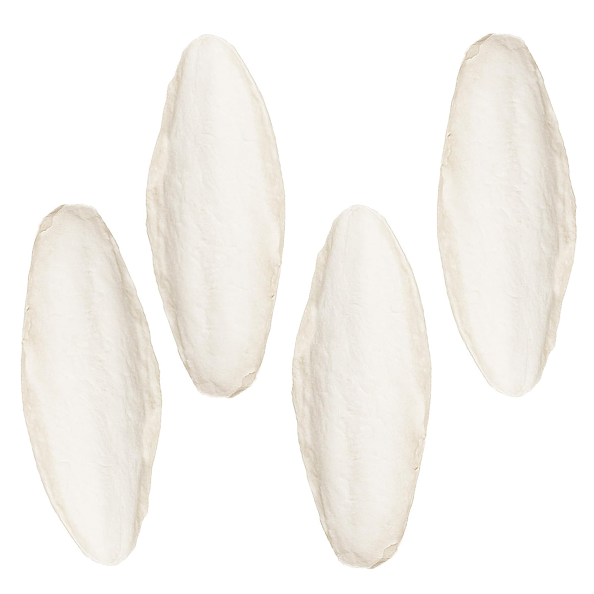 SunGrow 4pack large 6-inch cuttlefish bone for cockatiels supports calcium and bone health