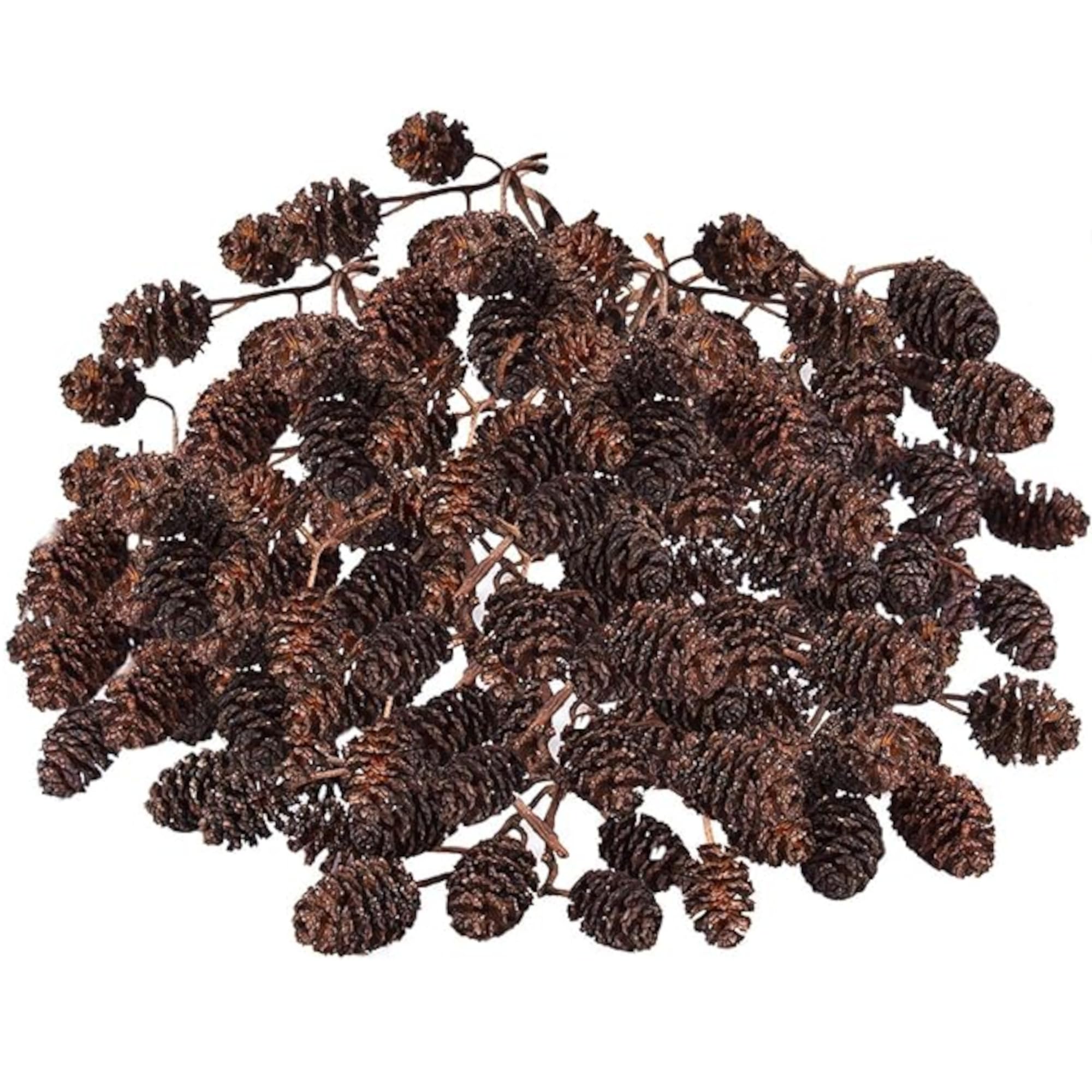 SunGrow Alder Cones pack of 100pcs ready for freshwater tanks, flexible setup.