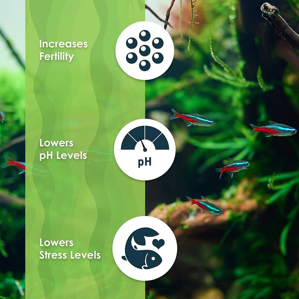 SunGrow almond leaves condition water and subtly adjust aquarium pH.