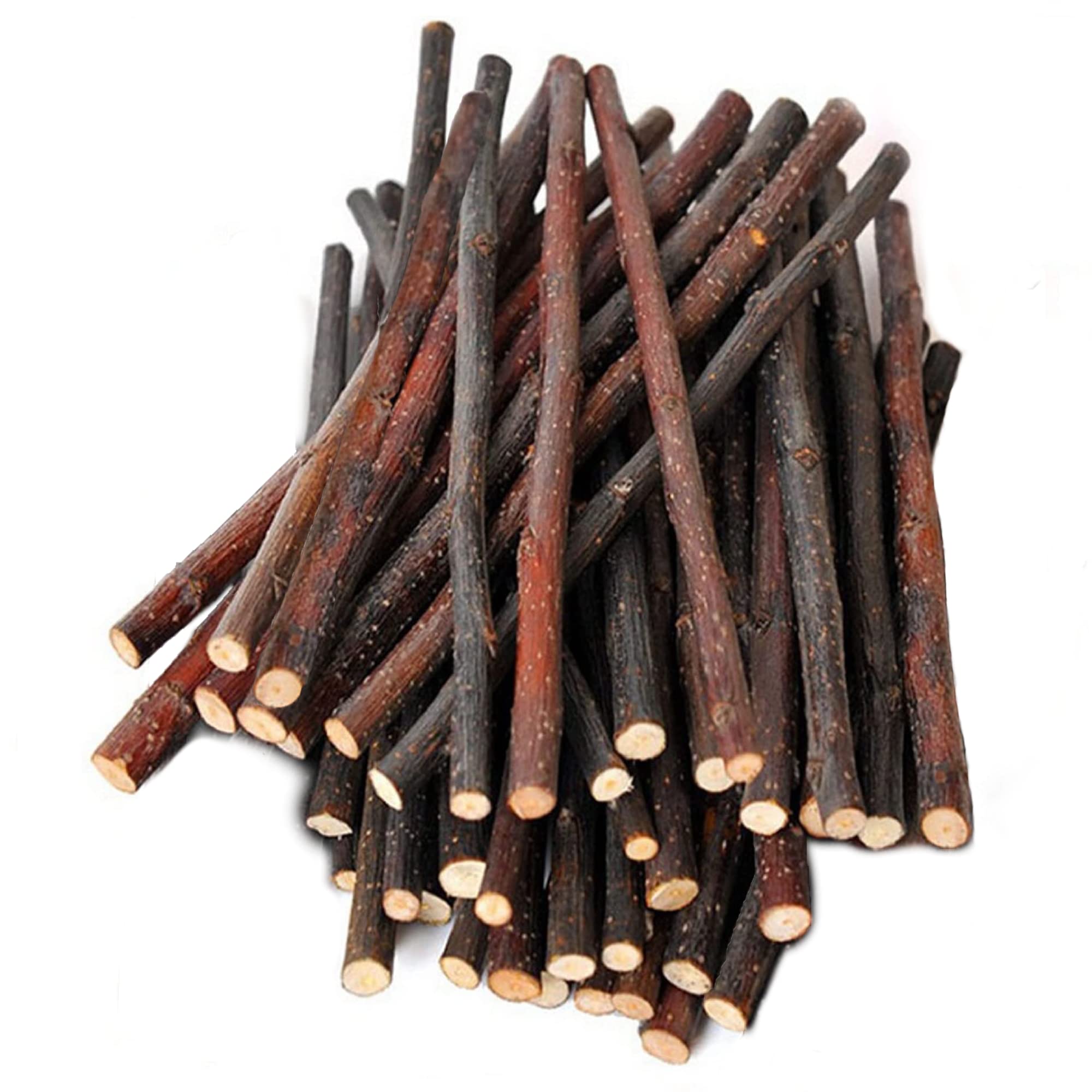 SunGrow Apple Sticks 6-inch length shown for molar grinding and active nibbling.