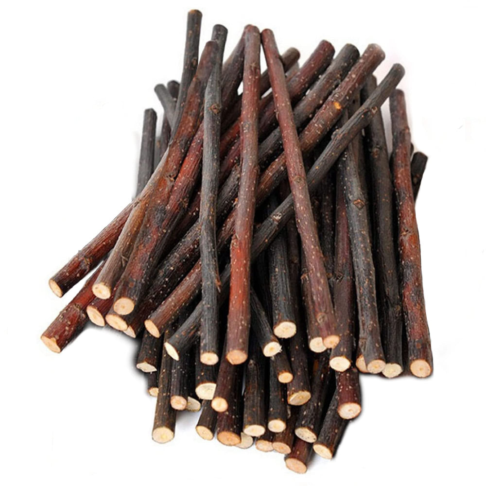 SunGrow Apple Sticks 6-inch length shown for molar grinding and active nibbling.