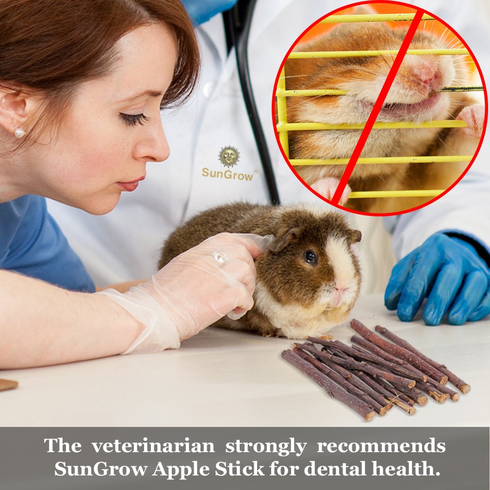 SunGrow Apple Sticks raw, dye-free texture shown as safe chewing material.