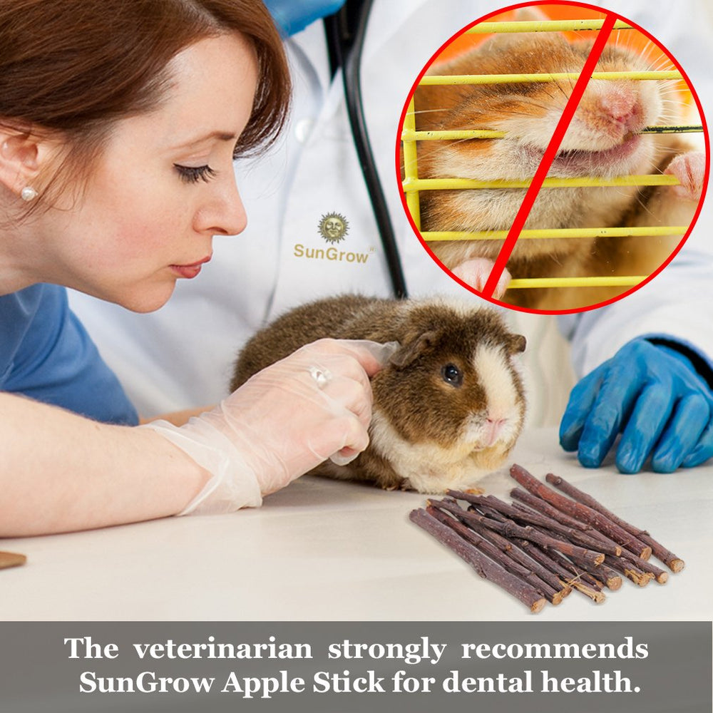 SunGrow Apple Sticks raw, dye-free texture shown as safe chewing material.