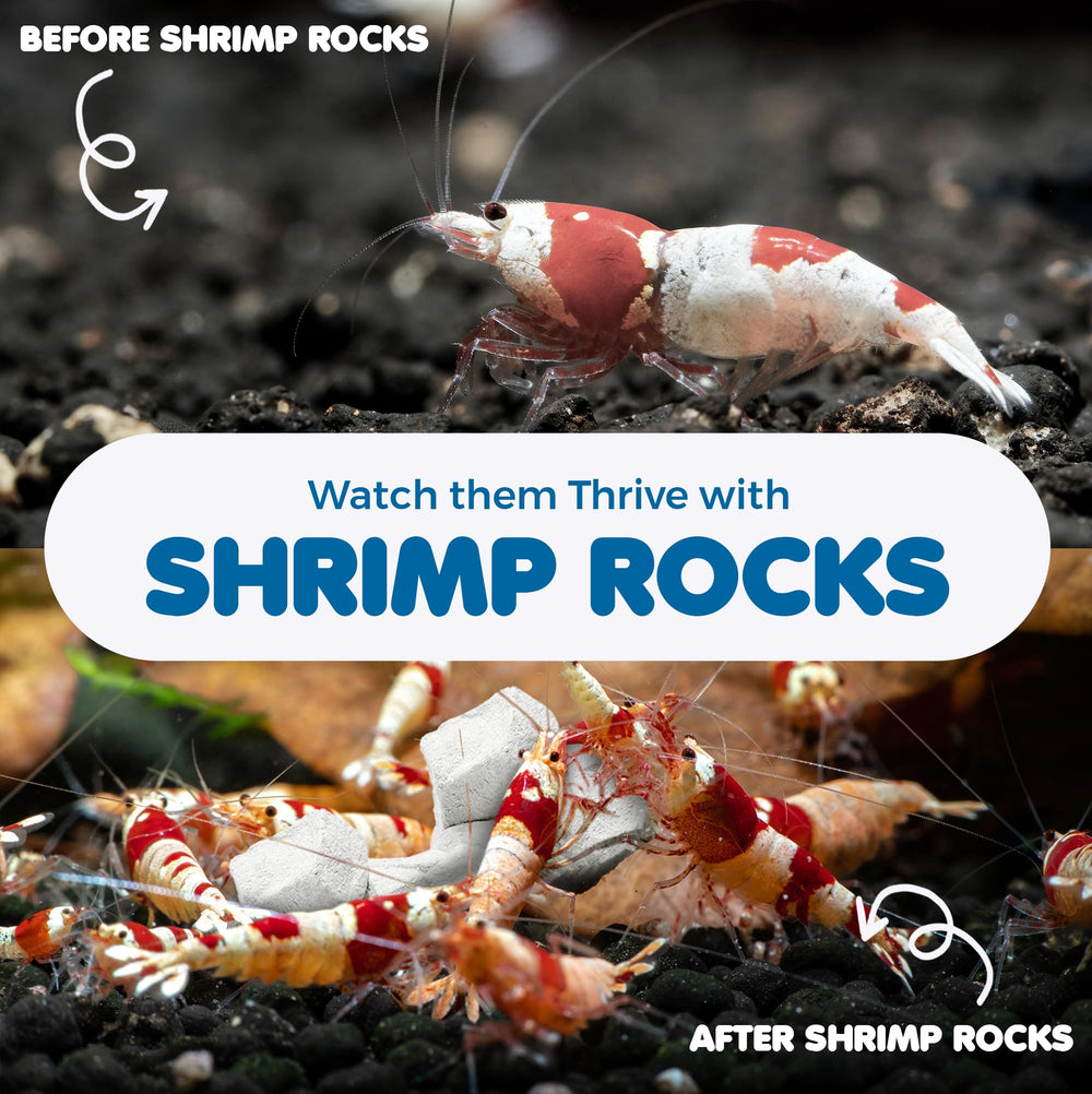 Sungrow aquarium decor rocks displayed in living room bowl for natural look.