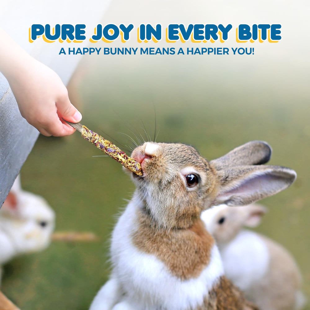 SunGrow Aromatic apple-wood enticing aroma keeps pets engaged during chew time