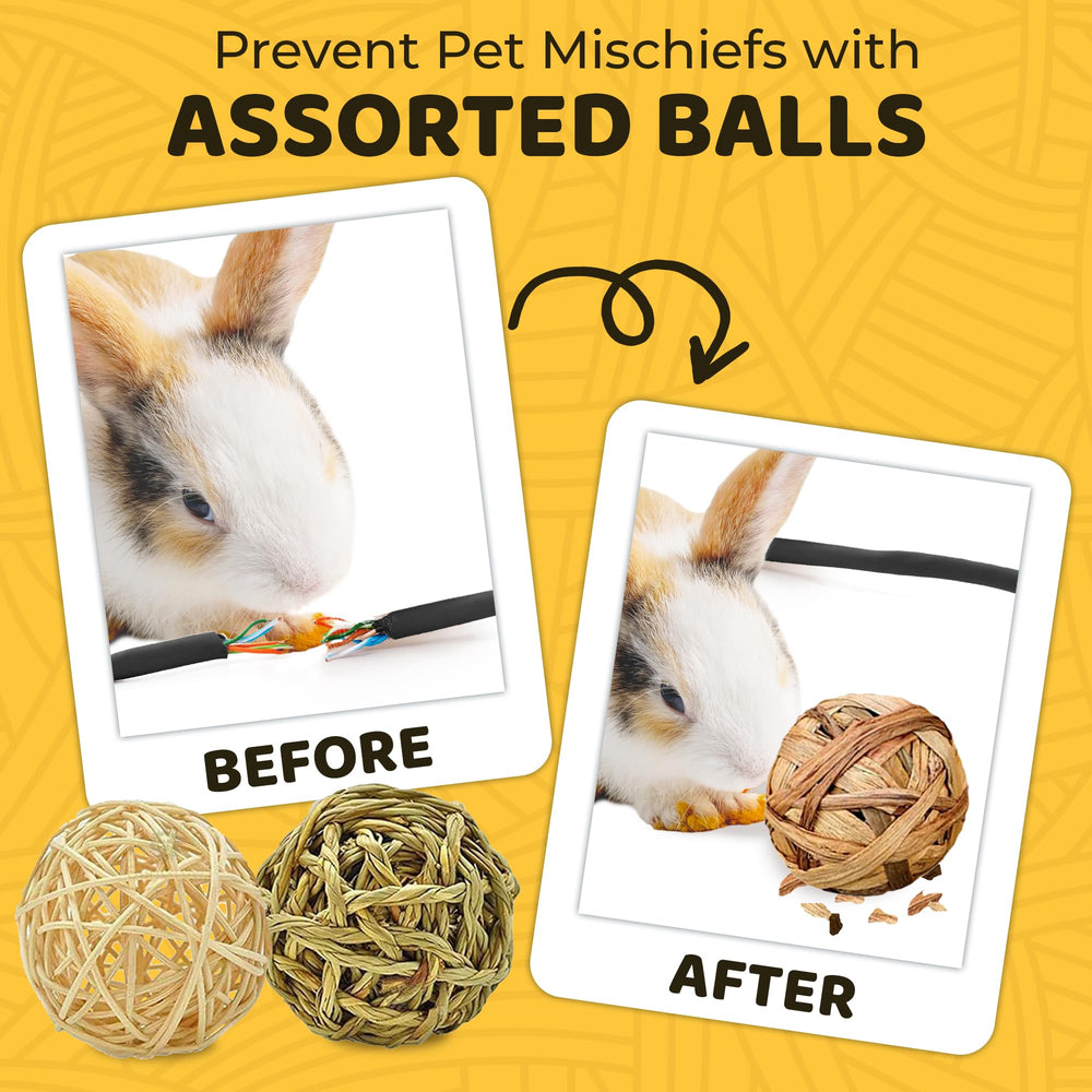 SunGrow assorted balls ready for rabbits, hamsters, and birds