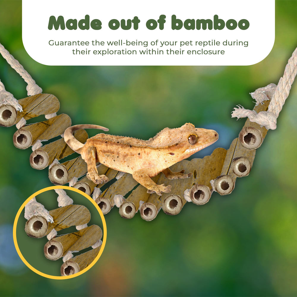 SunGrow bamboo gecko bridge swinging for enrichment and exercise.