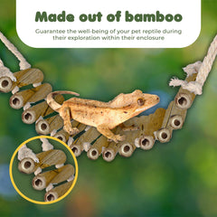 SunGrow bamboo gecko bridge swinging for enrichment and exercise.
