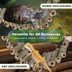 SunGrow bamboo gecko bridge creates thermoregulation zones in terrarium.