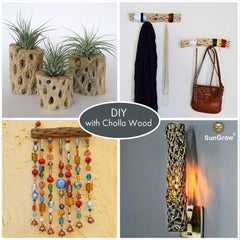 SunGrow bearded dragon habitat shows cholla wood as decorative climbing surface