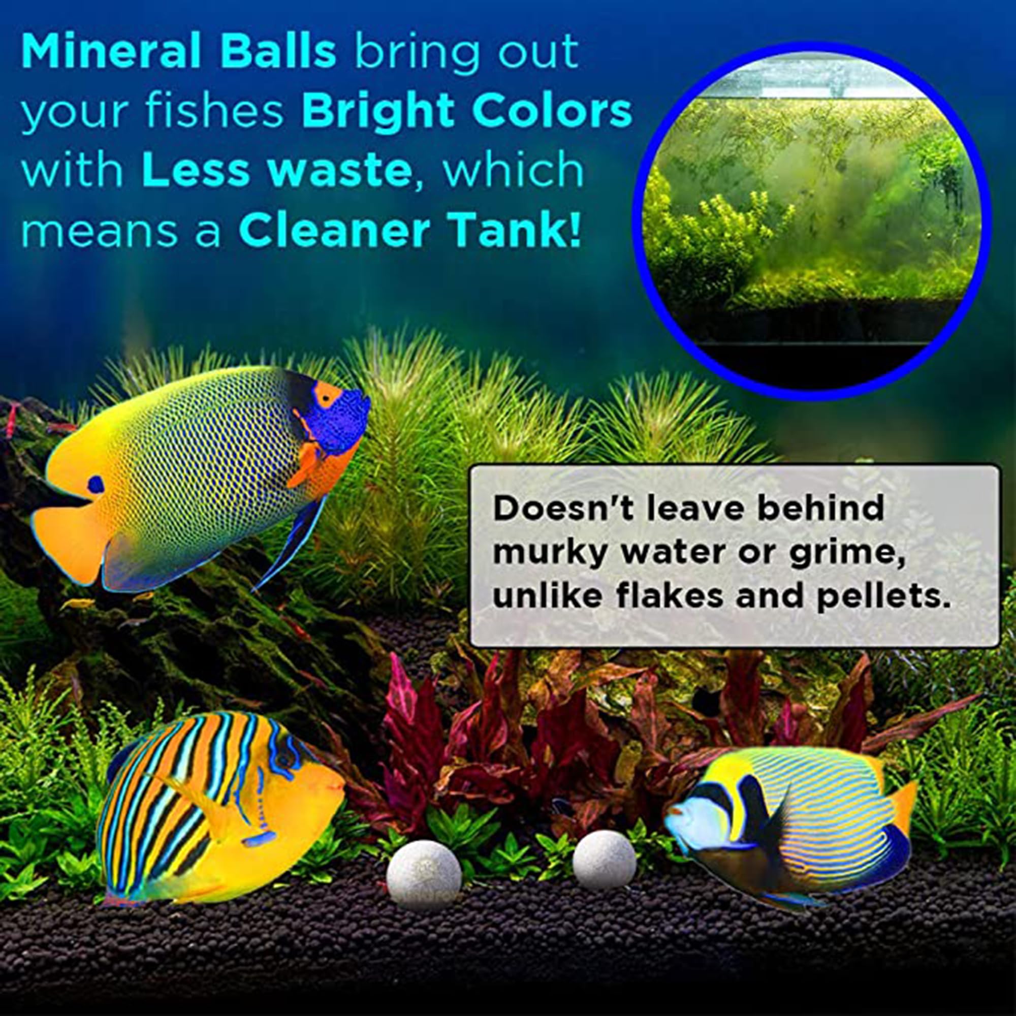 SunGrow Betta Balls in a community tank illustrating potential activity support for fish.