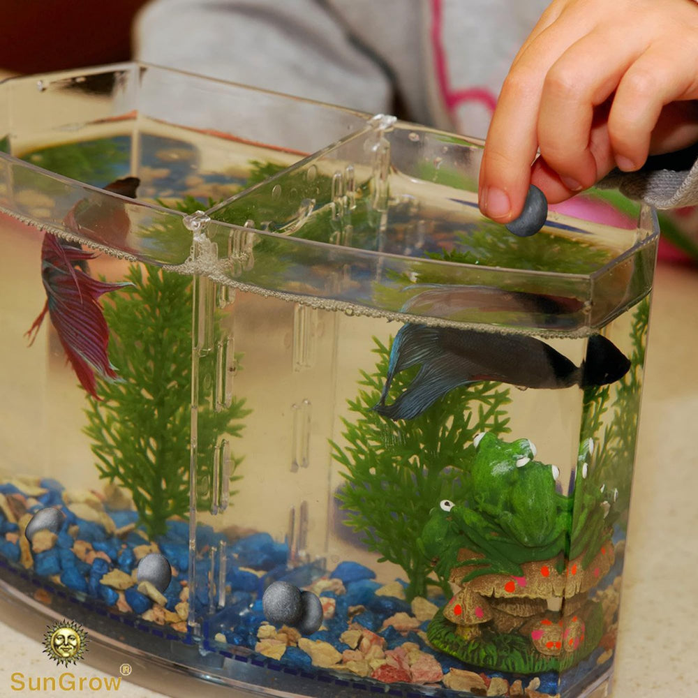 SunGrow Betta Balls resting on substrate offering decorative appeal and mineral release.