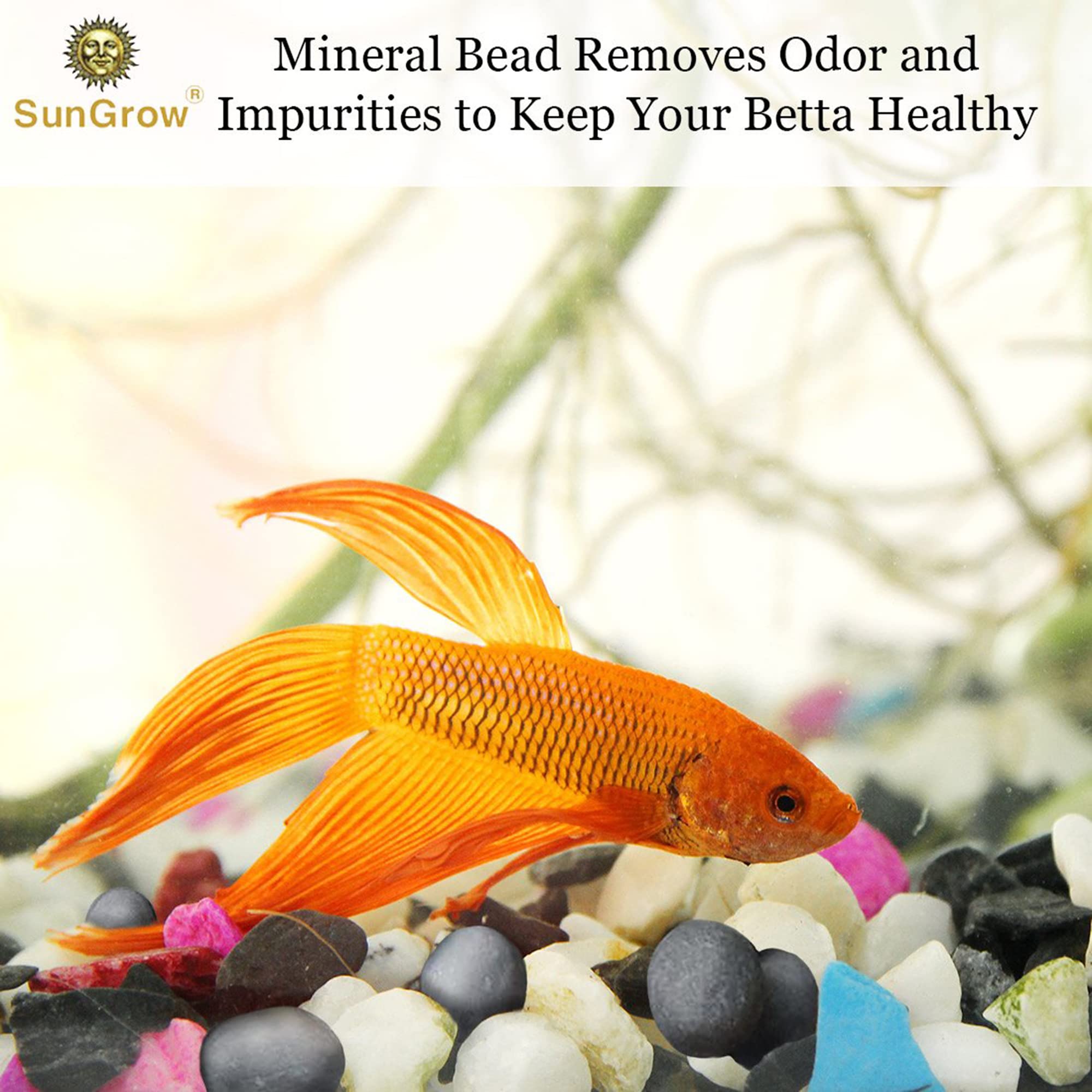 SunGrow Betta Balls pack of 10 for convenient routine conditioning.