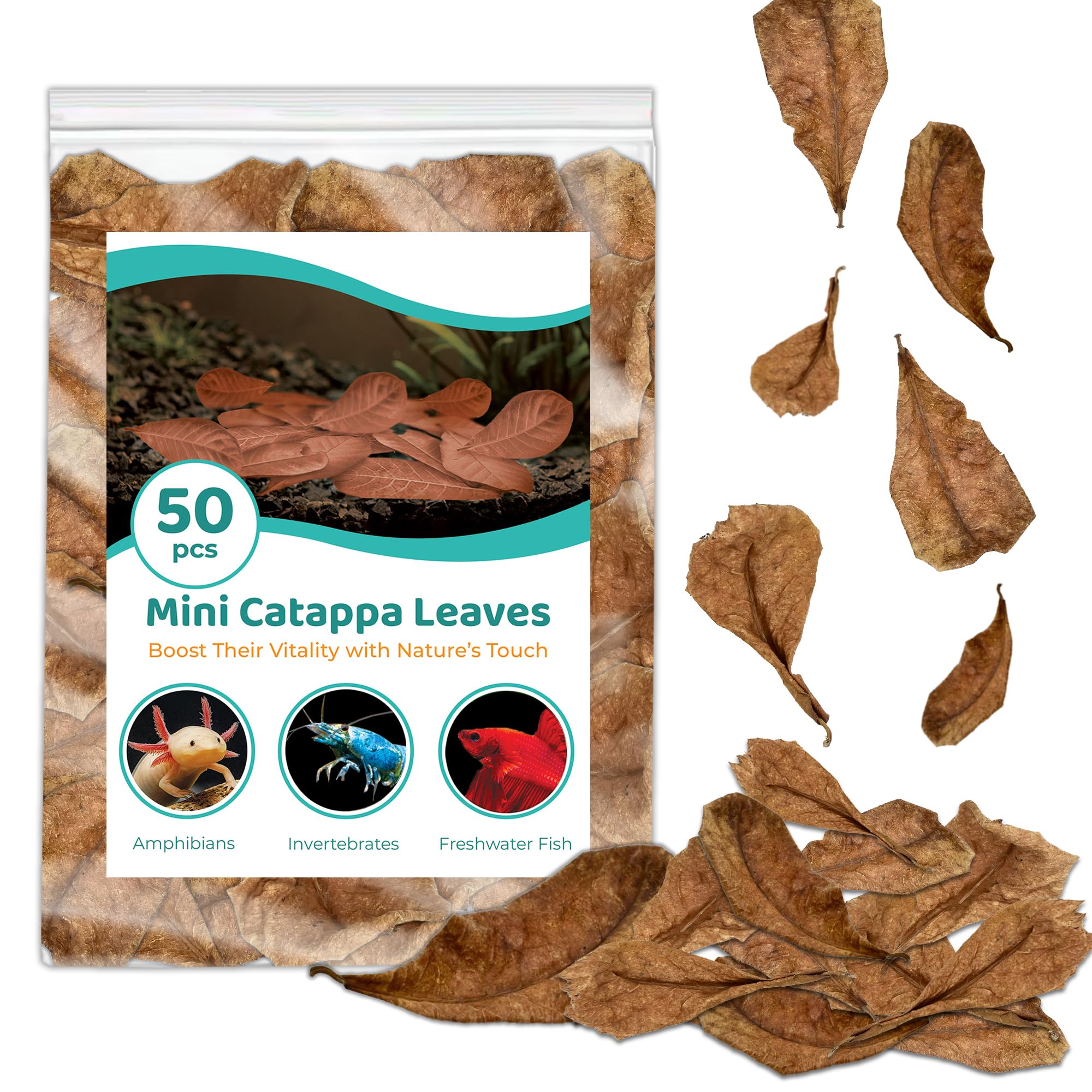 SunGrow Betta Catappa Leaves 50-pack creates natural habitat and calmer water for bettas