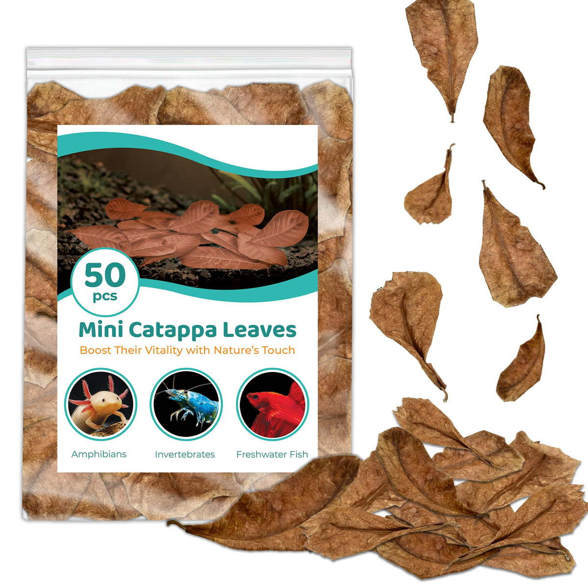 SunGrow Betta Catappa Leaves 50-pack creates natural habitat and calmer water for bettas