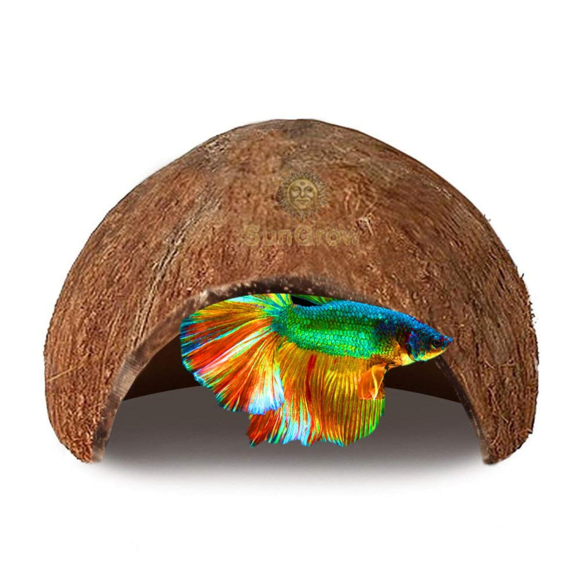 SunGrow Betta Cave front view highlights private breeding hideout for calm bettas.